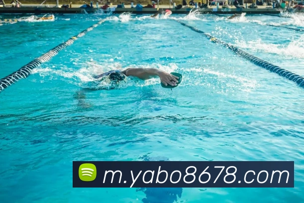 yaboAPP 封面图